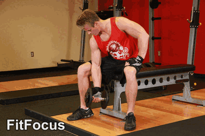 Concentration Curl