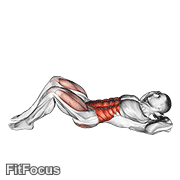 Cross Body Crunch GIF