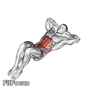 Crunch Floor GIF — animated core exercise demonstration