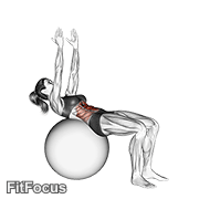 Crunch (on Stability Ball, Arms Straight) GIF