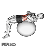 Crunch (on Stability Ball) GIF