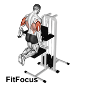 Assisted Triceps Dip (kneeling)