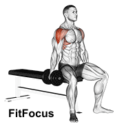 Dumbbell Seated Lateral Raise