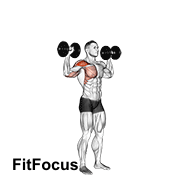 Dumbbell One Arm Shoulder Press