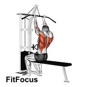 Cable Reverse-grip Straight Back Seated High Row