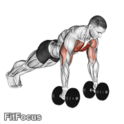 Deep Push Up GIF — animated chest exercise demonstration