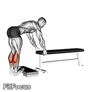 Donkey Calf Raise GIF