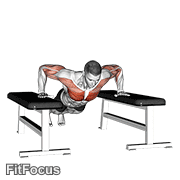 Drop Push Up GIF