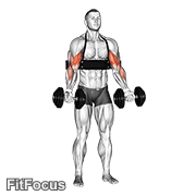 Dumbbell Alternate Biceps Curl (with Arm Blaster) GIF