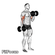 Dumbbell Alternate Biceps Curl GIF
