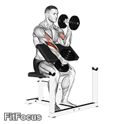 Dumbbell Alternate Hammer Preacher Curl GIF
