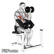 Dumbbell Alternate Preacher Curl GIF
