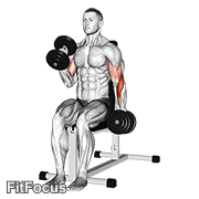 Dumbbell Alternate Seated Hammer Curl GIF