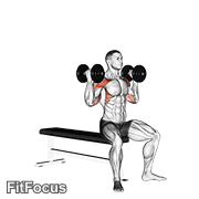 Dumbbell Arnold Press V. 2 GIF
