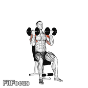 Dumbbell Arnold Press GIF