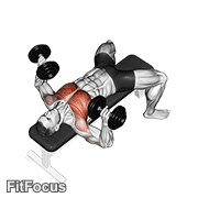 Dumbbell Bench Press animated form demonstration