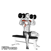 Dumbbell Bench Seated Press GIF