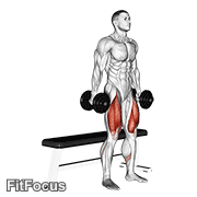 Dumbbell Bench Squat GIF