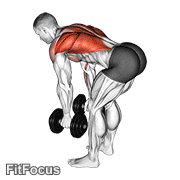 Dumbbell Bent Over Row GIF