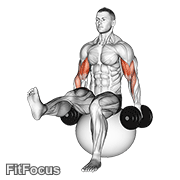 Dumbbell Bicep Curl On Exercise Ball With Leg Raised GIF