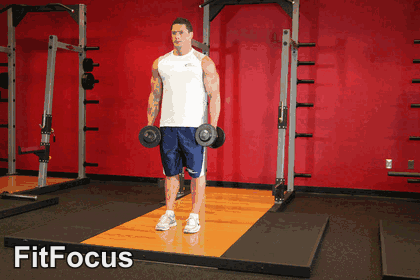 Dumbbell Bicep Curl animated form demonstration