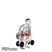 Dumbbell Biceps Curl Squat GIF