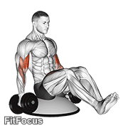 Dumbbell Biceps Curl V Sit On Bosu Ball GIF