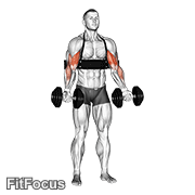 Dumbbell Biceps Curl (with Arm Blaster) GIF