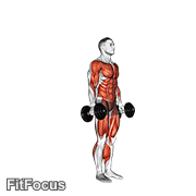 Dumbbell Burpee GIF