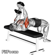 Dumbbell Close Grip Press (close grip dumbbell press) GIF — animated arms exercise demonstration