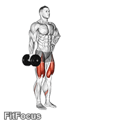 Dumbbell Contralateral Forward Lunge GIF