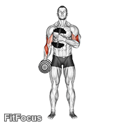 Dumbbell Cross Body Hammer Curl V. 2 GIF