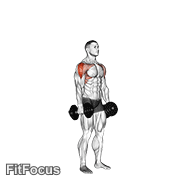 Dumbbell Cuban Press GIF