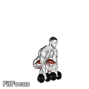 Dumbbell Deadlift GIF
