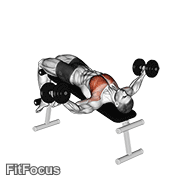 Dumbbell Decline Fly (decline dumbbell fly) GIF — animated chest exercise demonstration