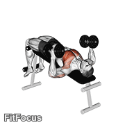 Dumbbell Decline Hammer Press GIF