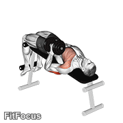 Dumbbell Decline One Arm Hammer Press GIF