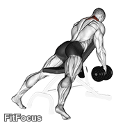 Dumbbell Decline Shrug V. 2 GIF