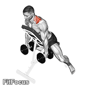 Dumbbell Decline Shrug GIF
