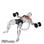 Dumbbell Fly On Exercise Ball GIF