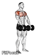 Dumbbell Front Raise GIF