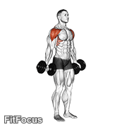 Dumbbell Full Can Lateral Raise
