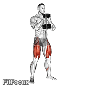 Dumbbell Goblet Squat GIF