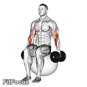 Dumbbell Hammer Curl On Exercise Ball GIF