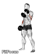 Dumbbell Hammer Curl GIF