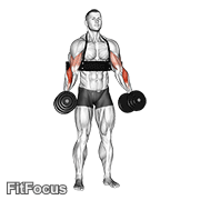 Dumbbell Hammer Curls (with Arm Blaster) GIF