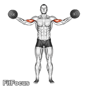 Dumbbell High Curl GIF
