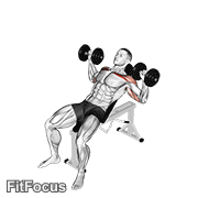 Dumbbell Incline Alternate Press GIF