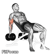 Dumbbell Incline Biceps Curl GIF