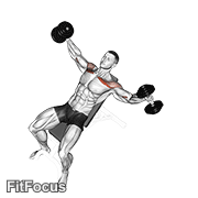 Dumbbell Incline Breeding GIF